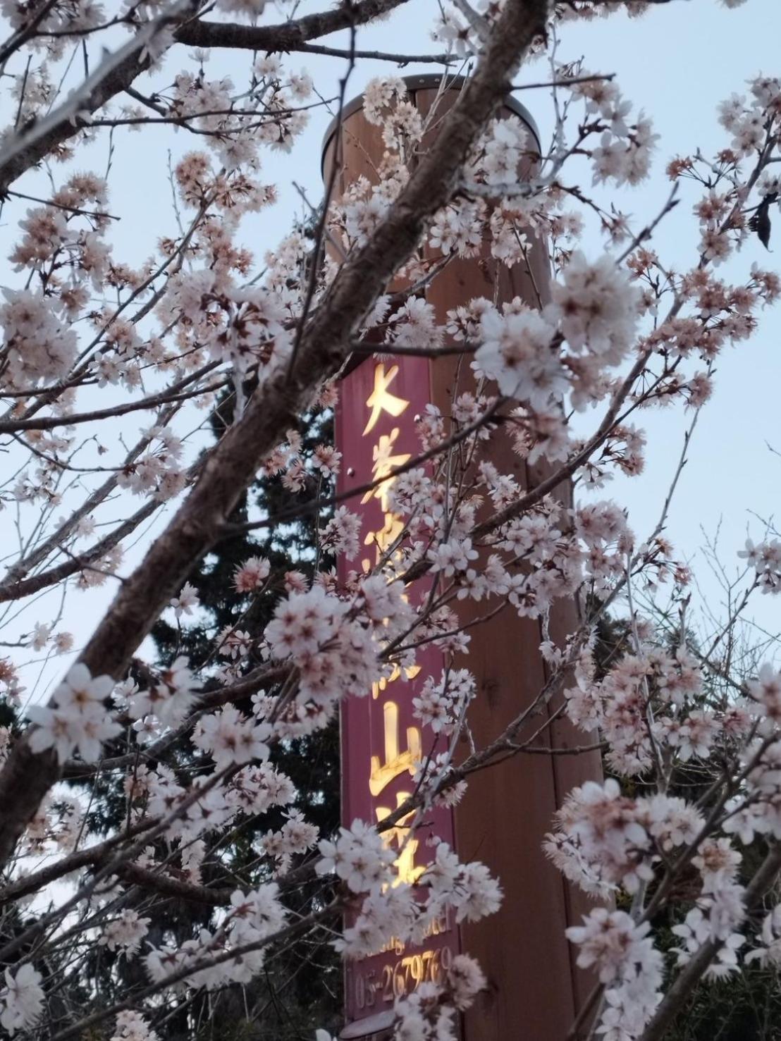 Dafong Hotel Zhongzheng  Exterior photo